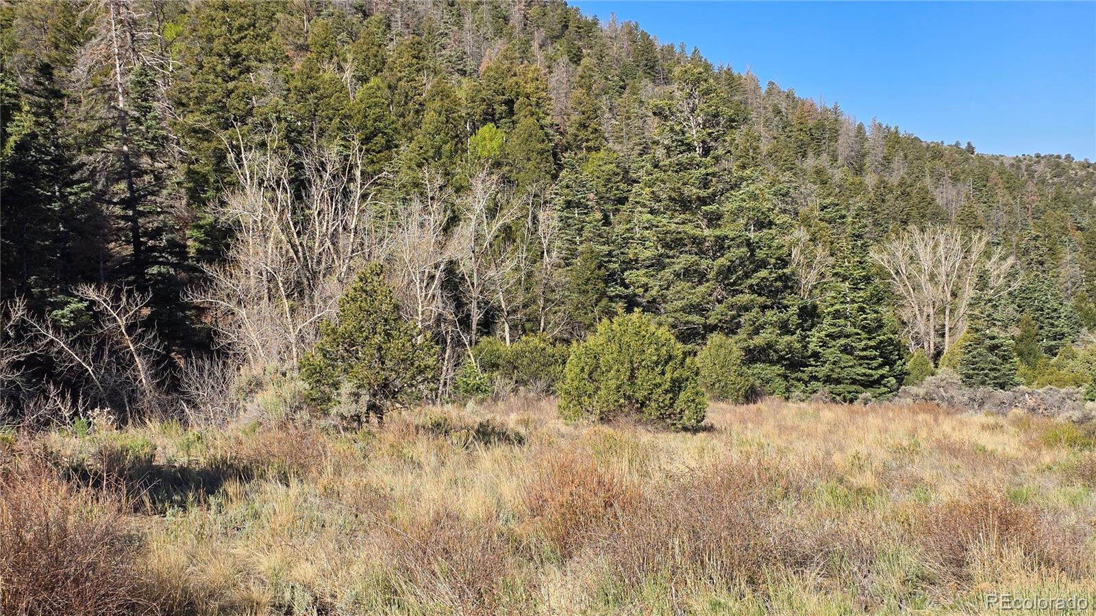 Lot 5475 Joy Road Fort Garland CO 81133