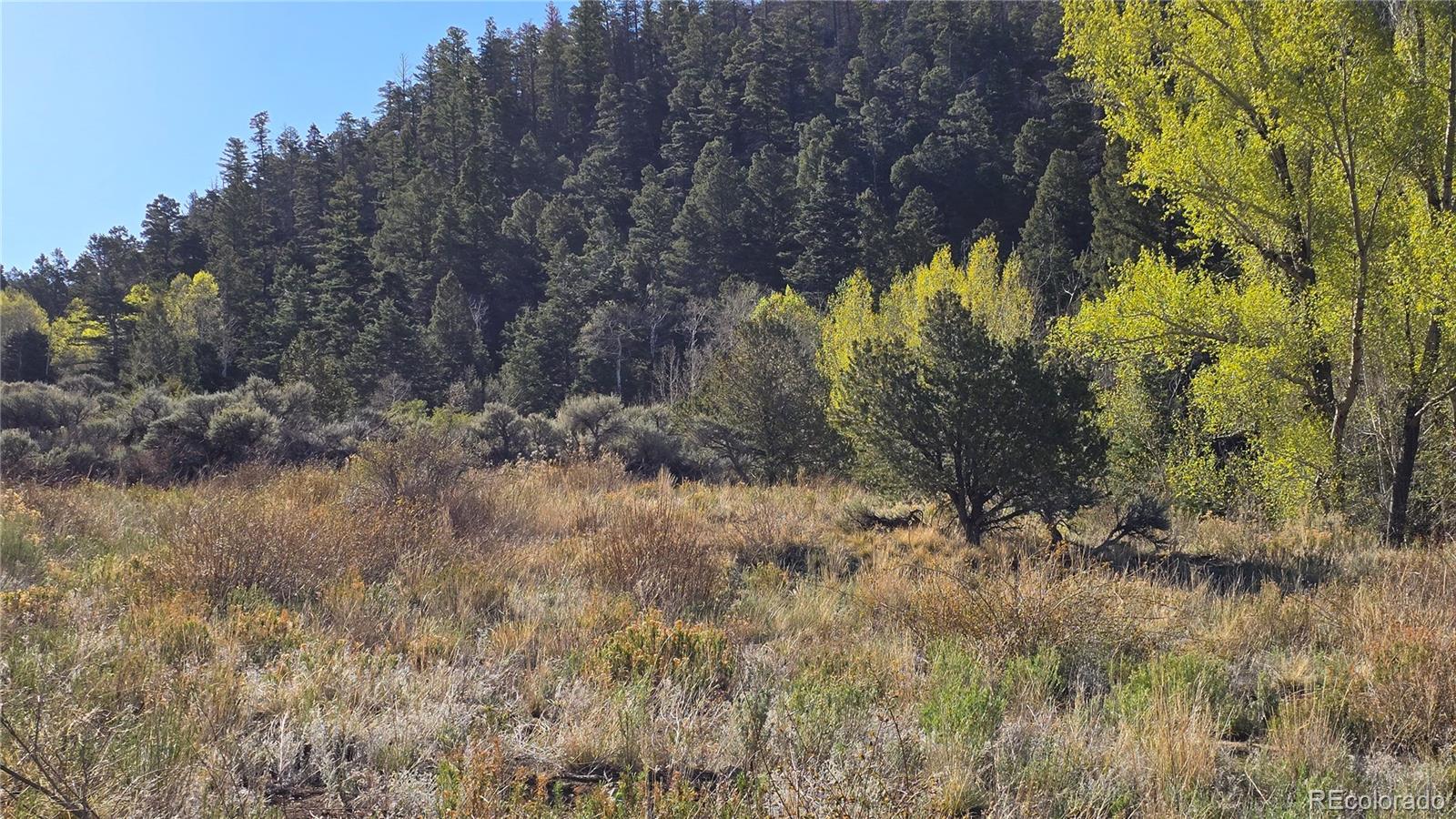 Lot 5475 Joy Road Fort Garland CO 81133