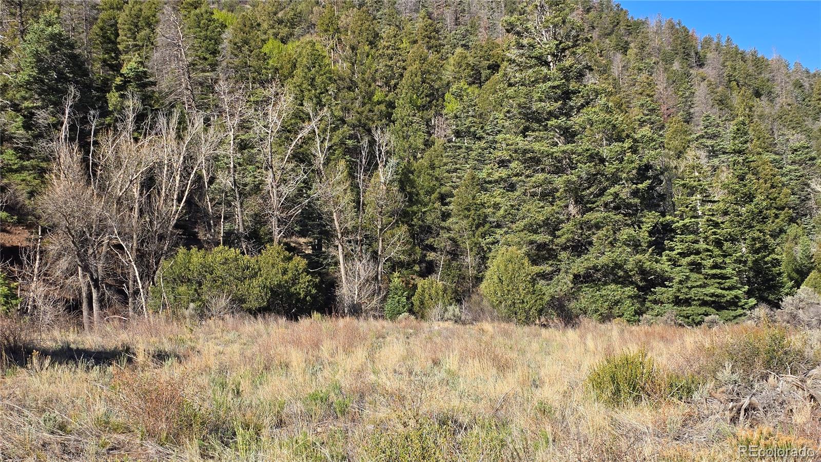 Lot 5475 Joy Road Fort Garland CO 81133