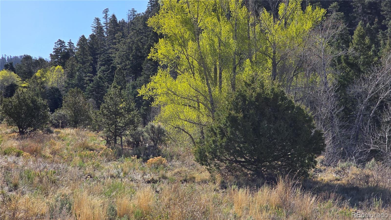 Lot 5475 Joy Road Fort Garland CO 81133