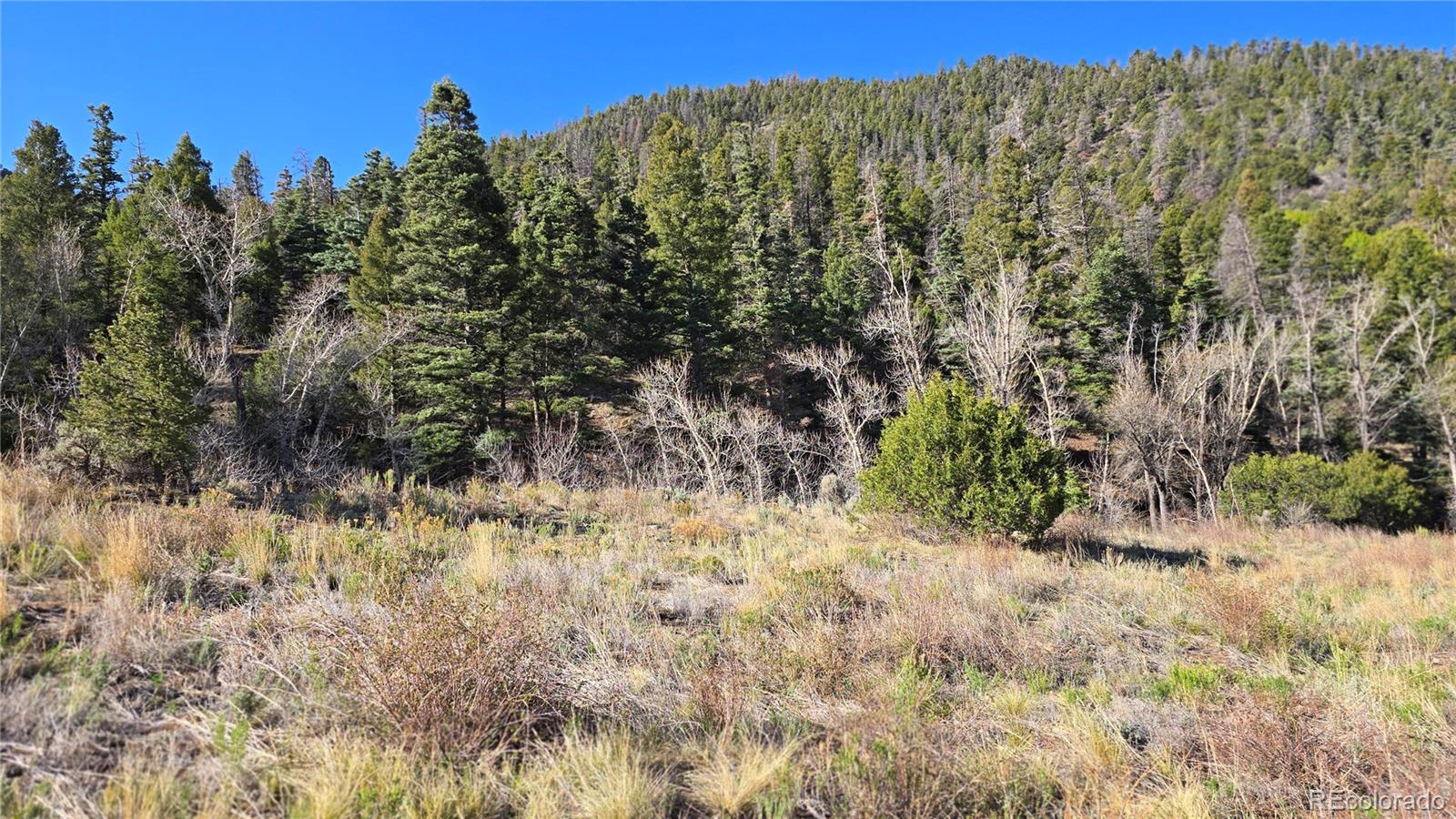 Lot 5475 Joy Road Fort Garland CO 81133
