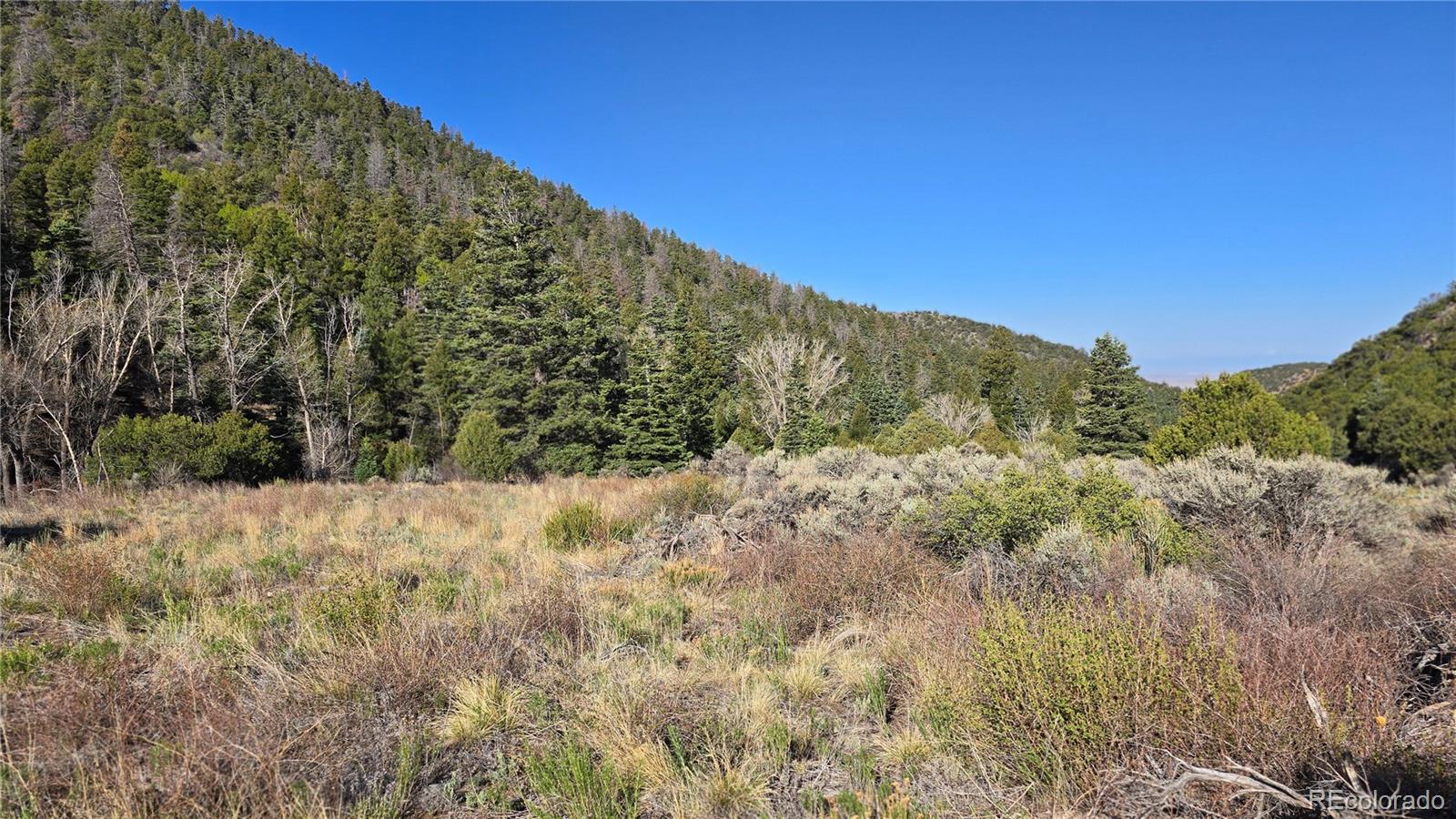 Lot 5475 Joy Road Fort Garland CO 81133