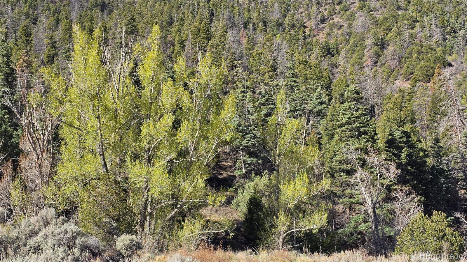 Lot 5475 Joy Road Fort Garland CO 81133
