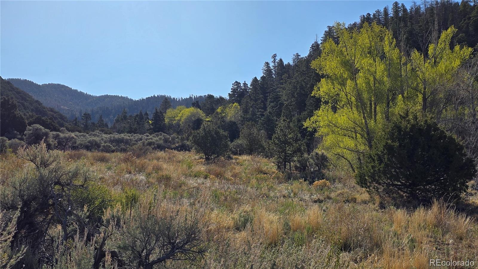 Lot 5475 Joy Road Fort Garland CO 81133