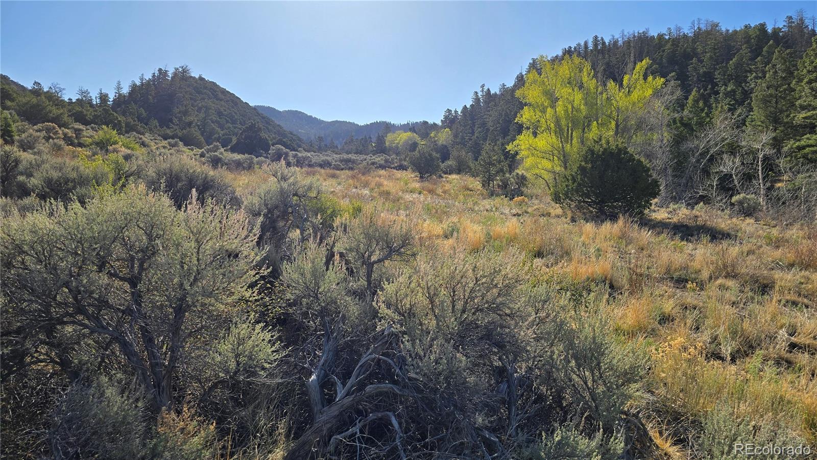 Lot 5475 Joy Road Fort Garland CO 81133