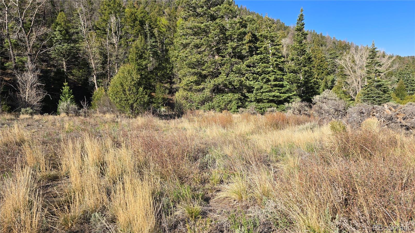 Lot 5475 Joy Road Fort Garland CO 81133