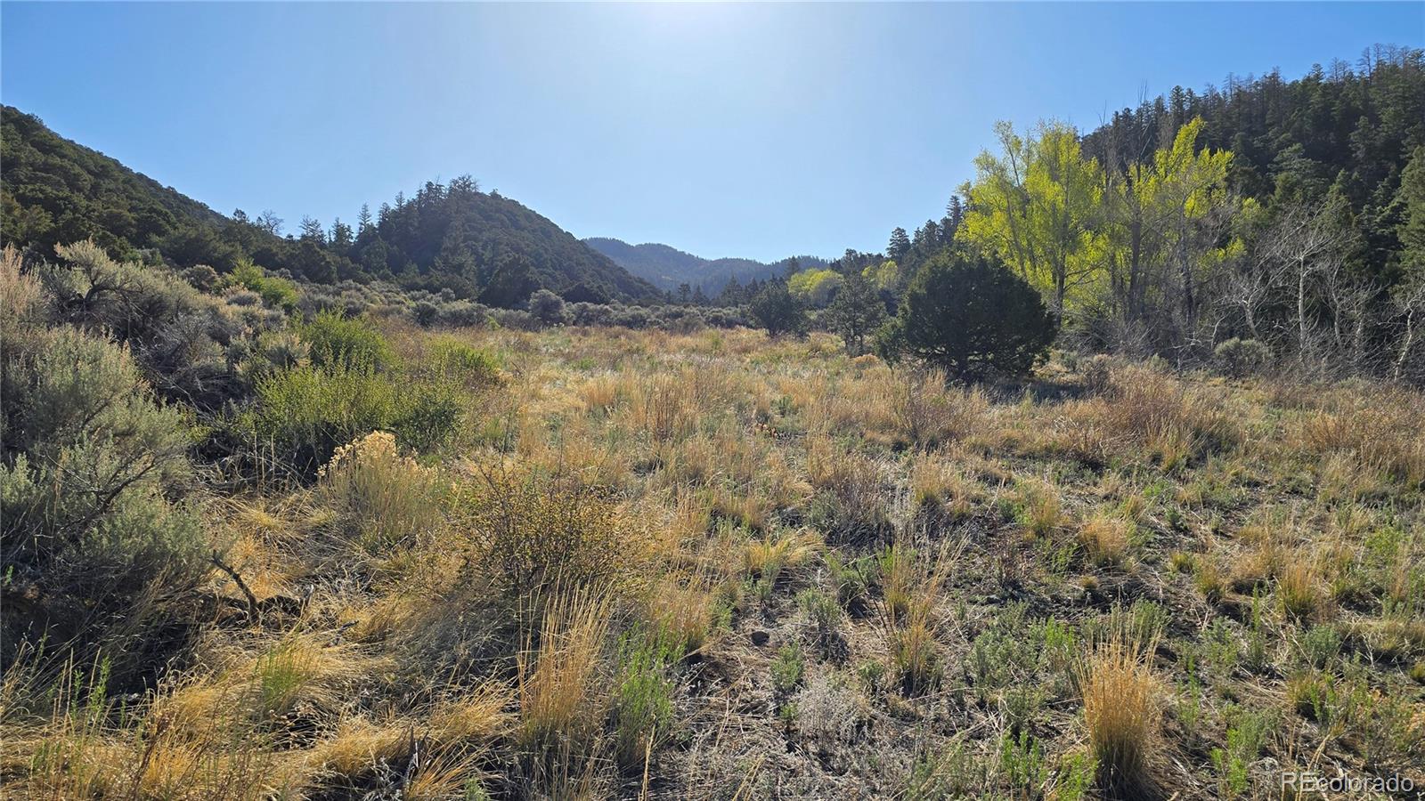 Lot 5475 Joy Road Fort Garland CO 81133