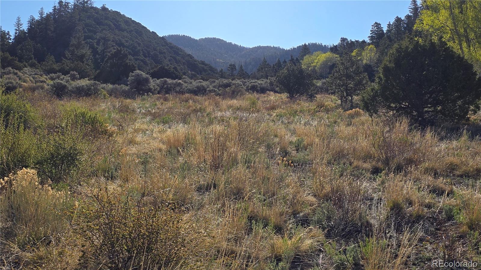 Lot 5475 Joy Road Fort Garland CO 81133
