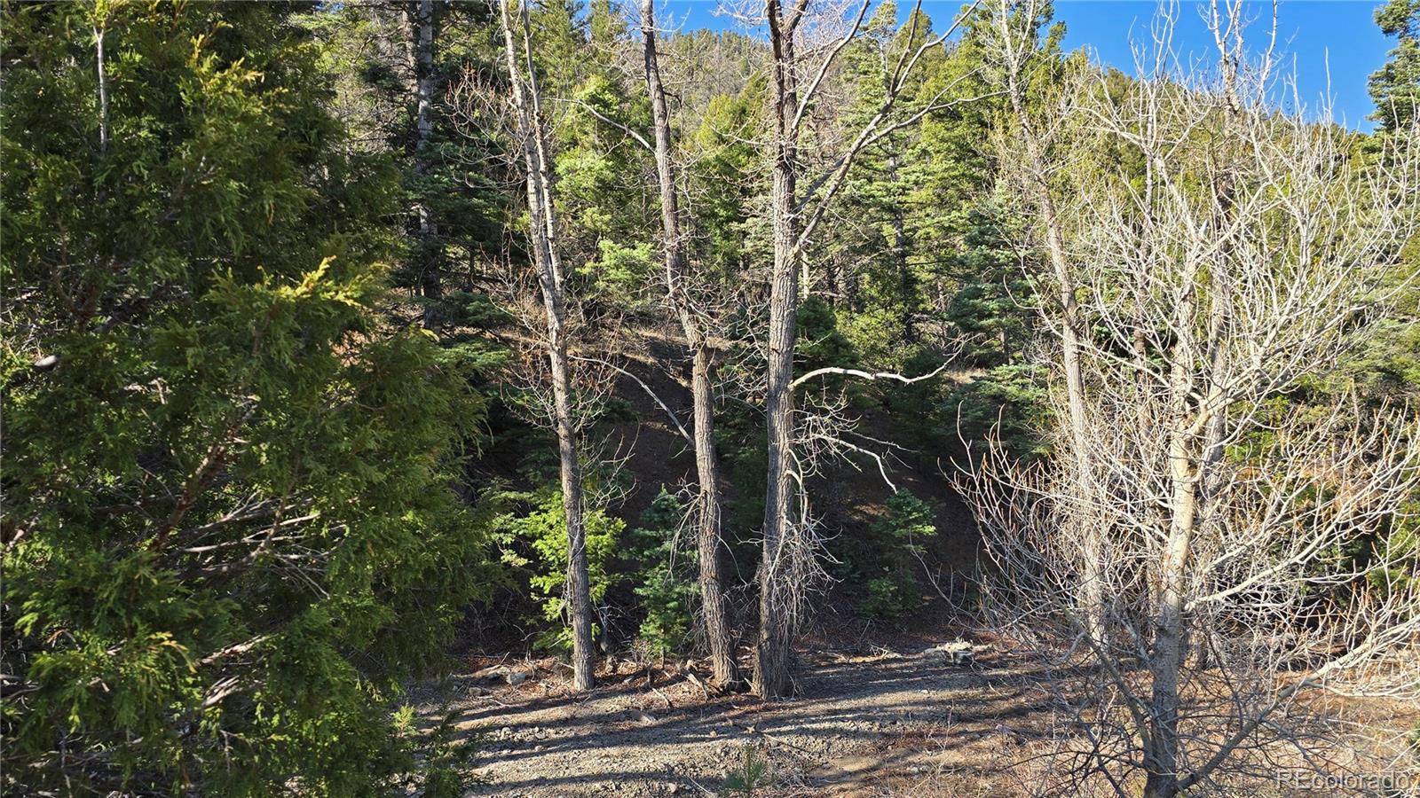 Lot 5475 Joy Road Fort Garland CO 81133