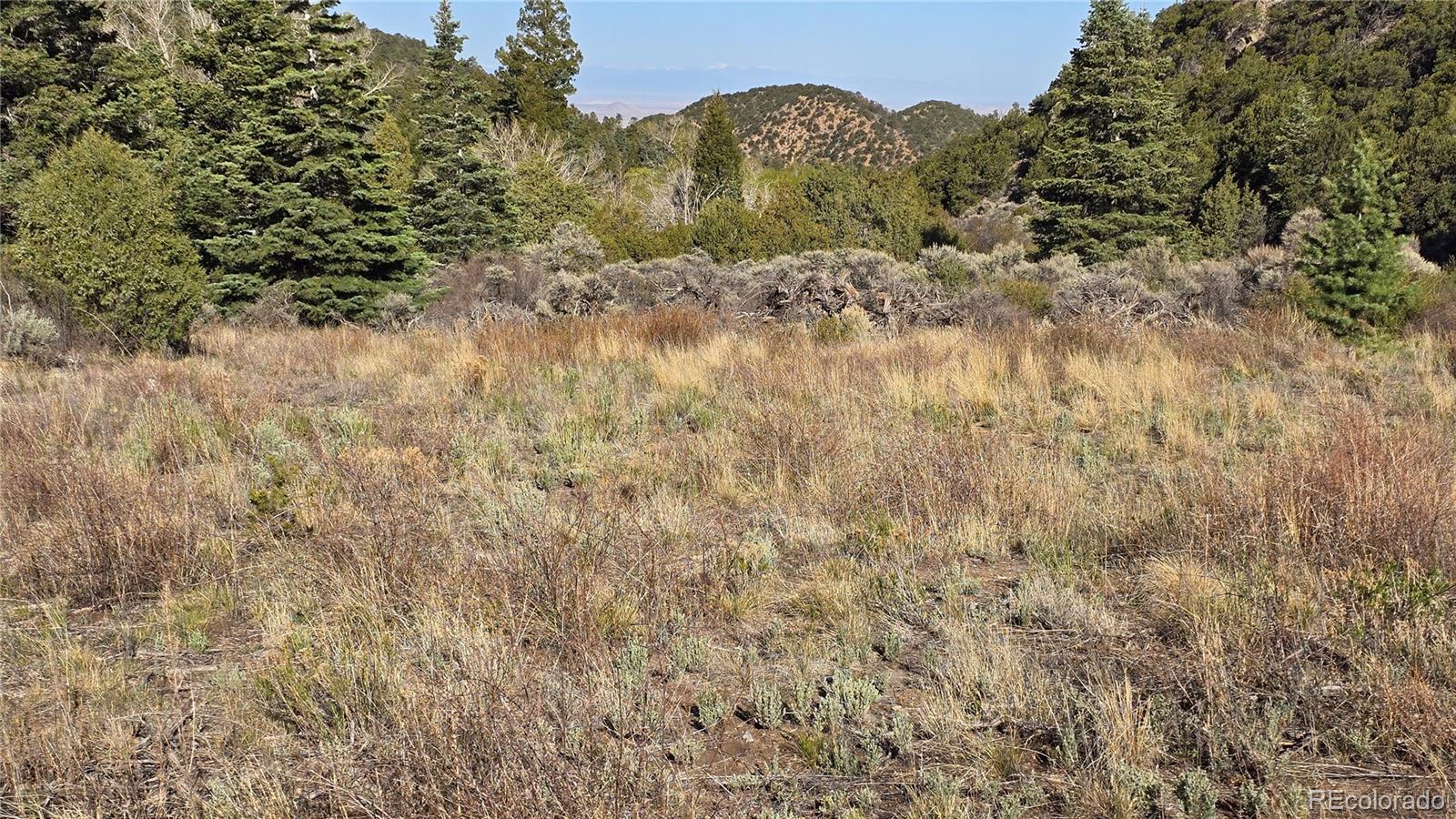 Lot 5475 Joy Road Fort Garland CO 81133