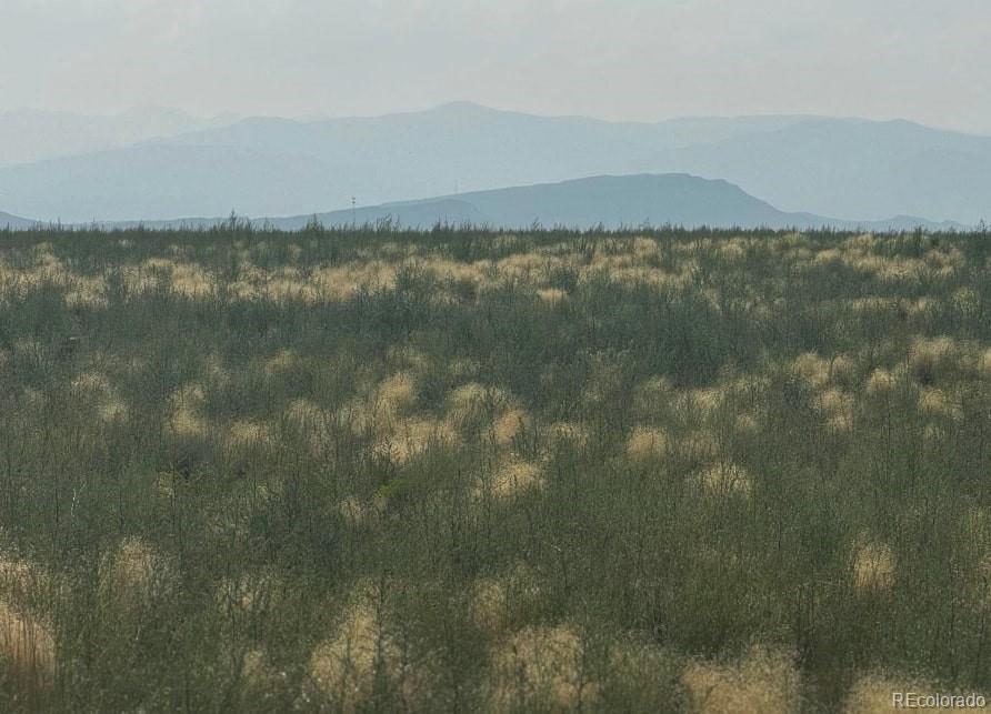 Lots 2&3 Jj 3rd Street Blanca CO 81123