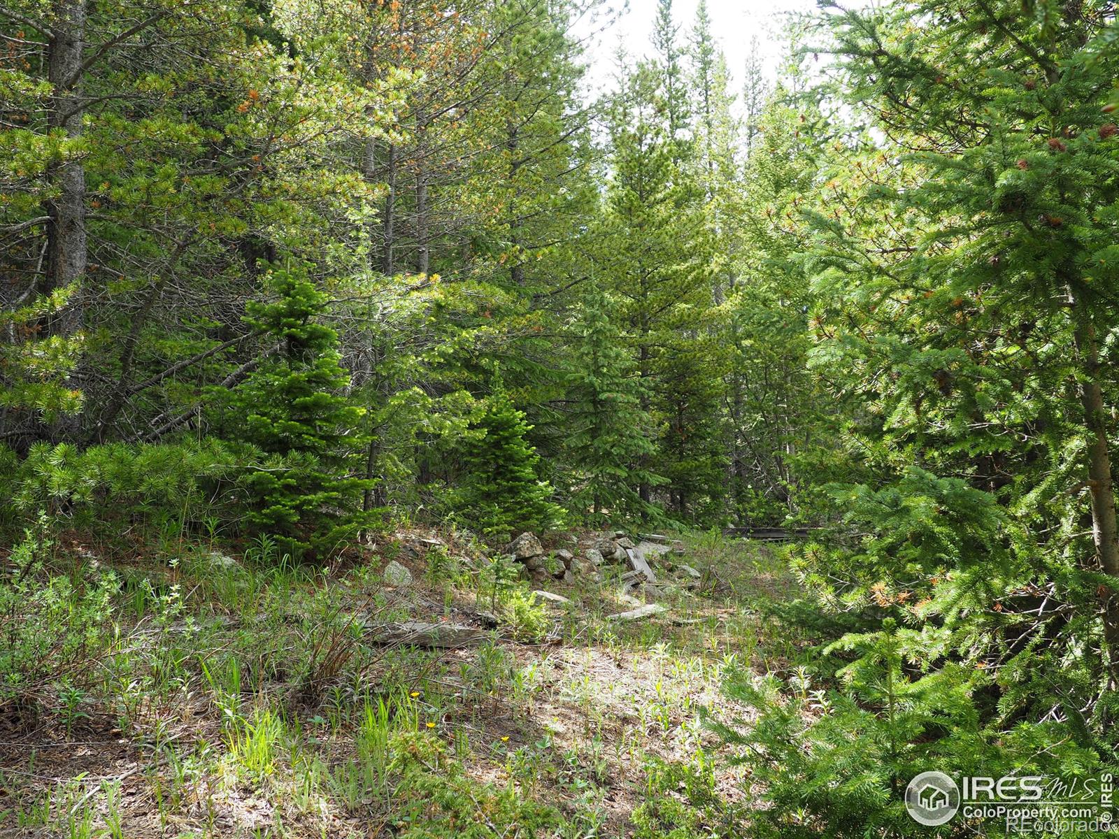 0 Gamble Gulch Black Hawk CO 80422