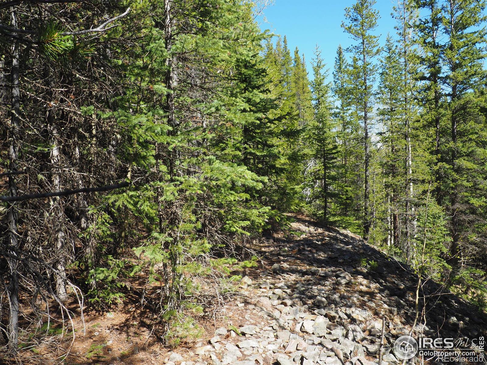 0 Gamble Gulch Black Hawk CO 80422