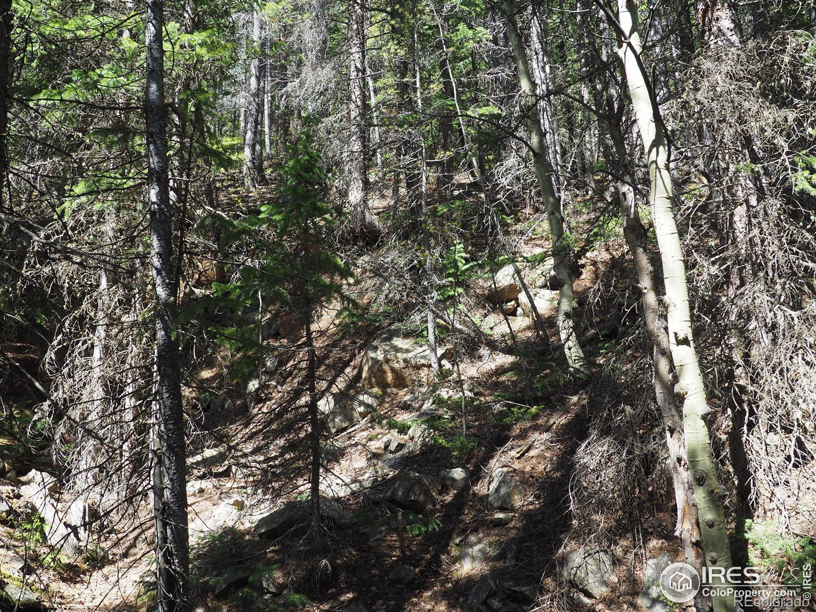 0 Gamble Gulch Black Hawk CO 80422