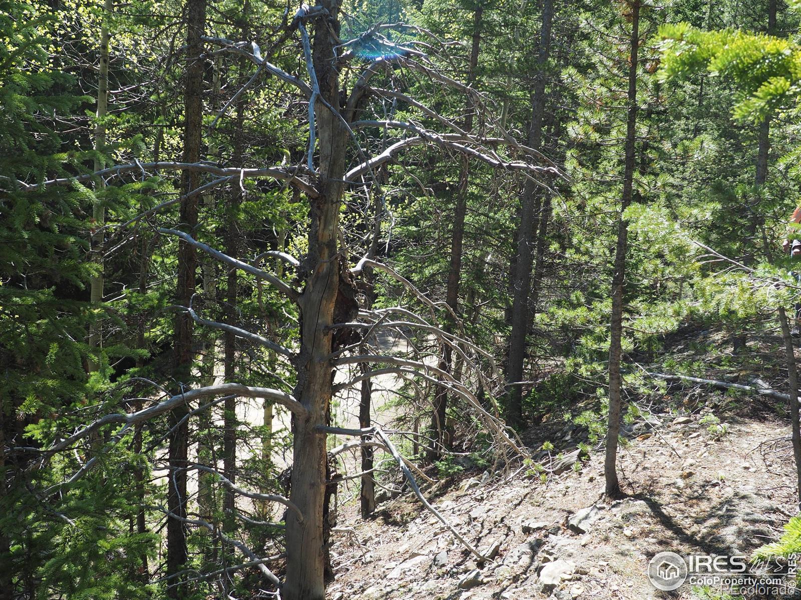 0 Gamble Gulch Black Hawk CO 80422