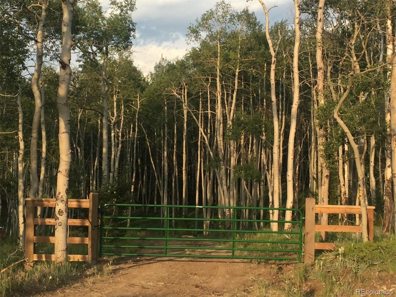 8093 Ranch Road Hartsel CO 80449