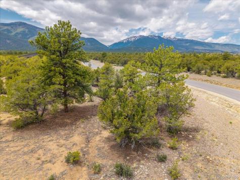 29266 Timber Ridge Buena Vista CO 81211