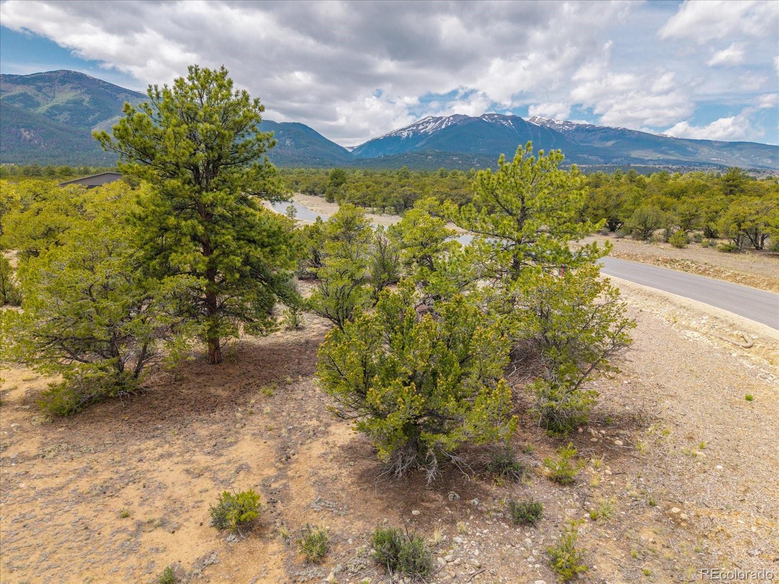 29266 Timber Ridge Buena Vista CO 81211