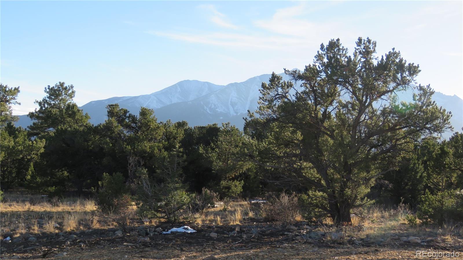 29266 Timber Ridge Buena Vista CO 81211