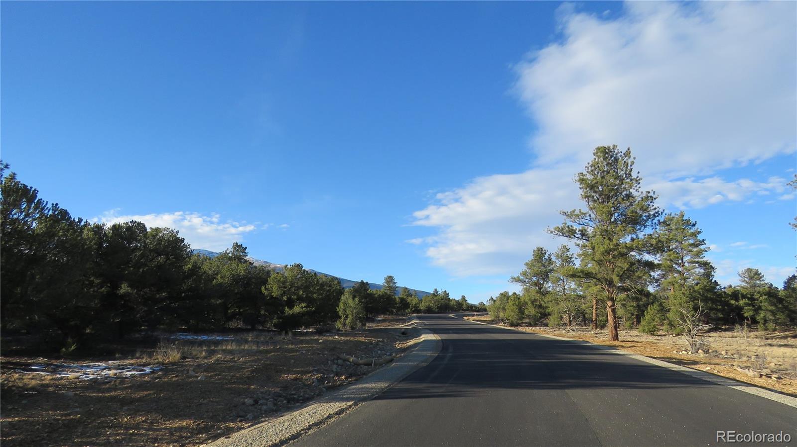 29266 Timber Ridge Buena Vista CO 81211