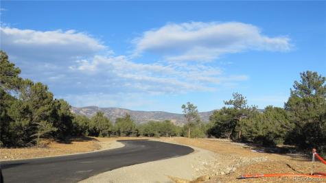29266 Timber Ridge Buena Vista CO 81211