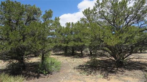 29266 Timber Ridge Buena Vista CO 81211