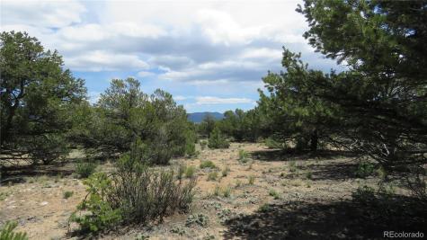 29266 Timber Ridge Buena Vista CO 81211