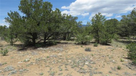 29266 Timber Ridge Buena Vista CO 81211