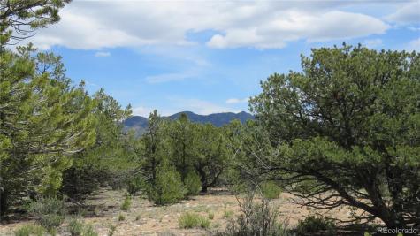 29266 Timber Ridge Buena Vista CO 81211