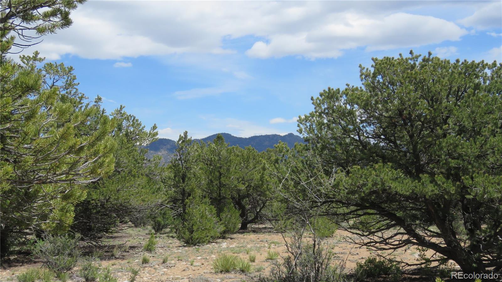 29266 Timber Ridge Buena Vista CO 81211