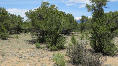 29266 Timber Ridge Buena Vista CO 81211