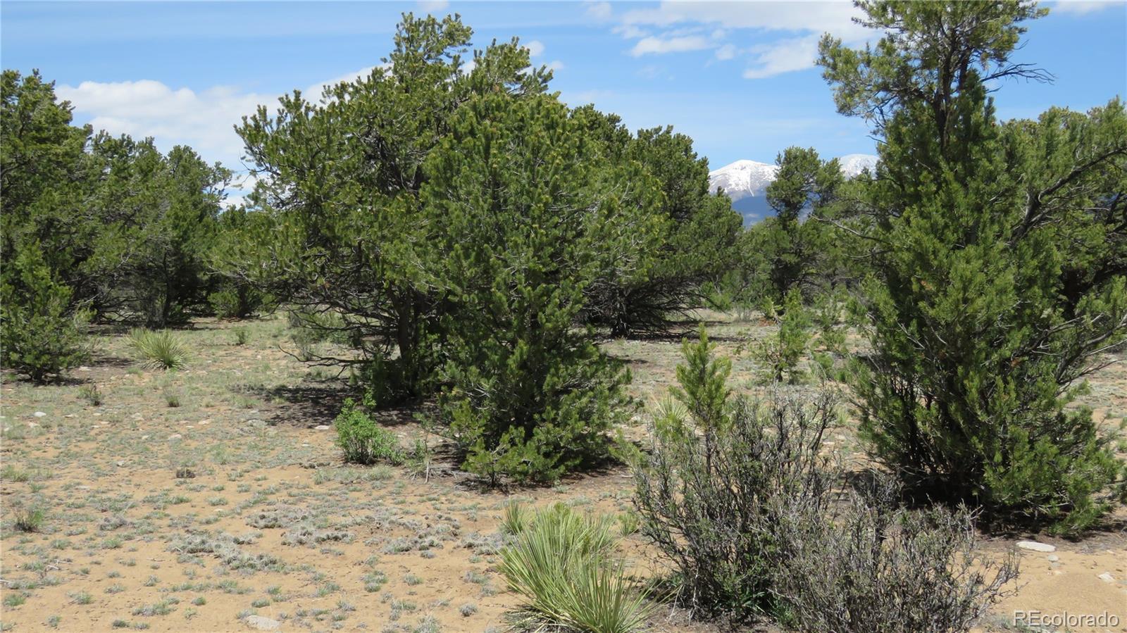29266 Timber Ridge Buena Vista CO 81211