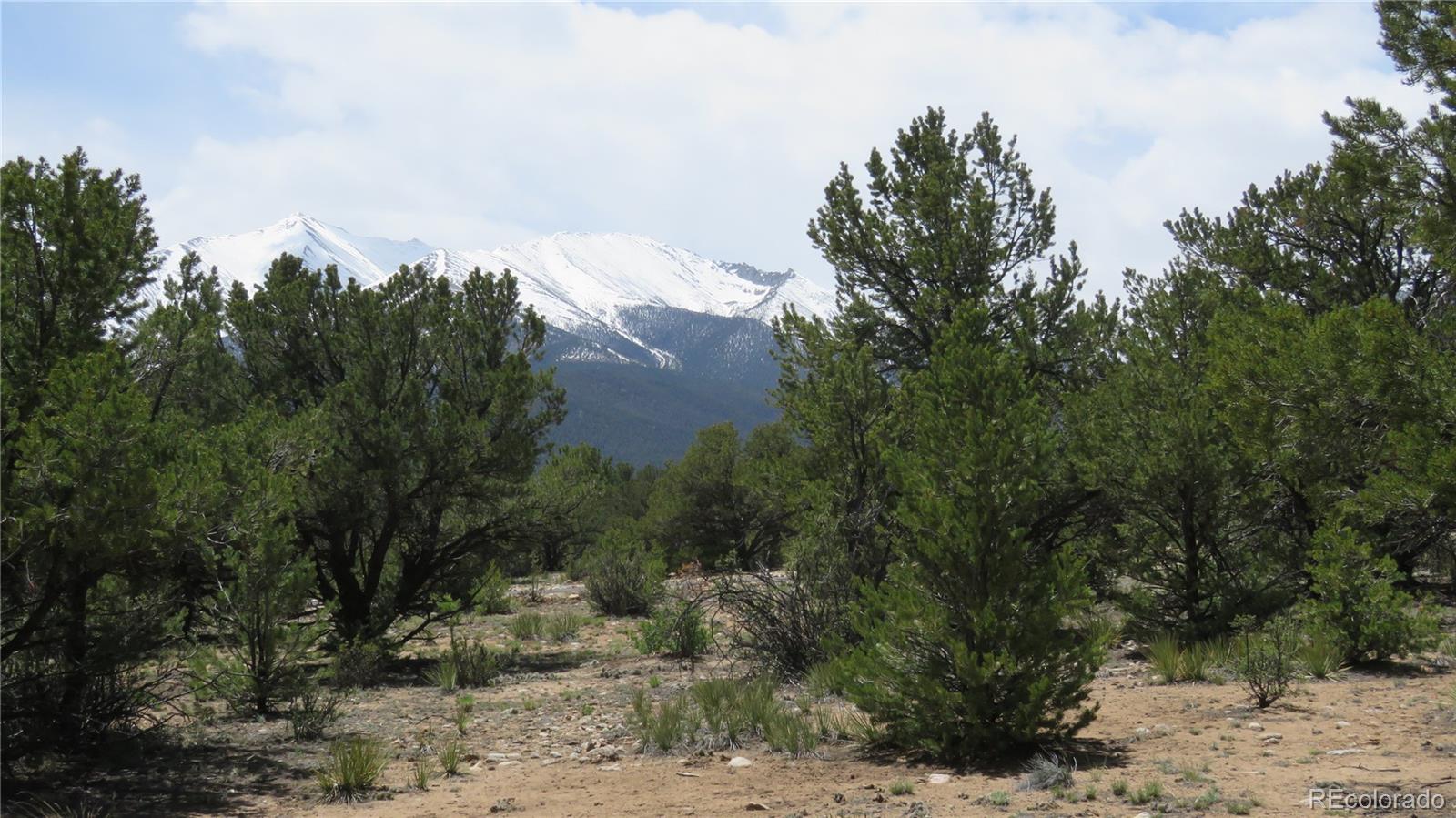 29266 Timber Ridge Buena Vista CO 81211