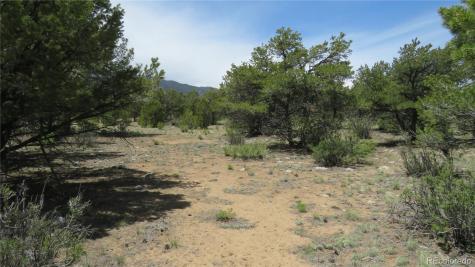 29266 Timber Ridge Buena Vista CO 81211