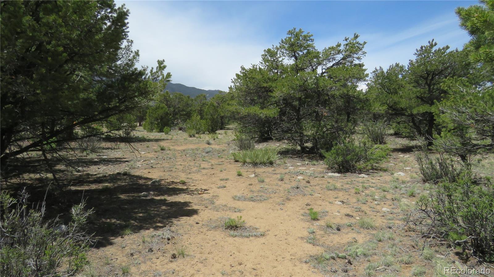 29266 Timber Ridge Buena Vista CO 81211