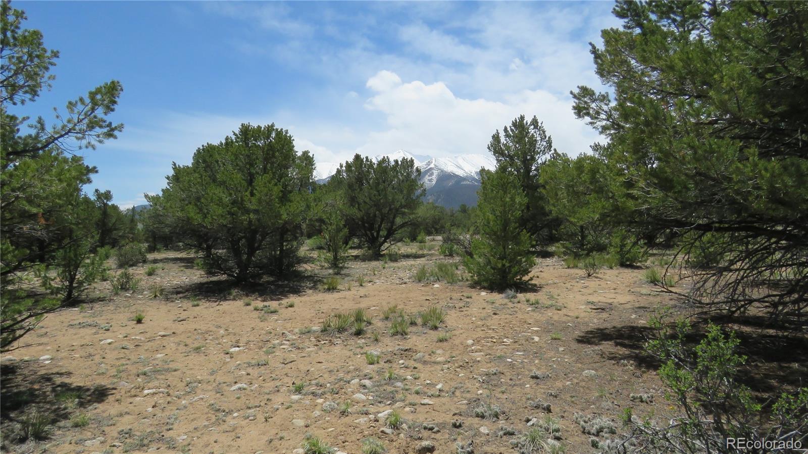 29266 Timber Ridge Buena Vista CO 81211