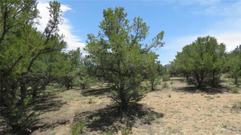 29266 Timber Ridge Buena Vista CO 81211