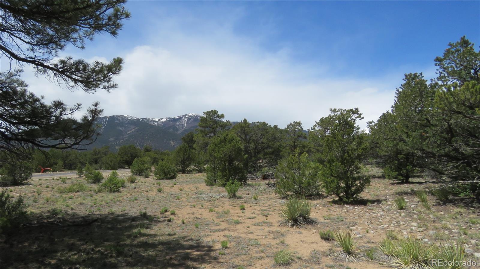 29266 Timber Ridge Buena Vista CO 81211