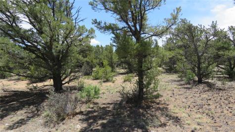 29266 Timber Ridge Buena Vista CO 81211
