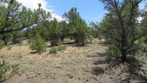 29266 Timber Ridge Buena Vista CO 81211