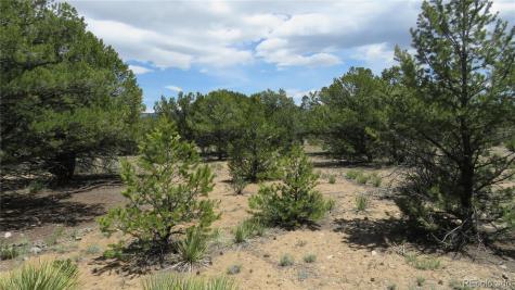 29266 Timber Ridge Buena Vista CO 81211