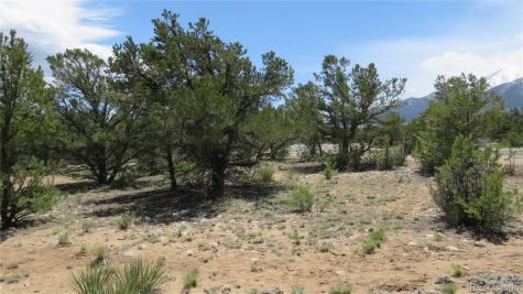 29266 Timber Ridge Buena Vista CO 81211