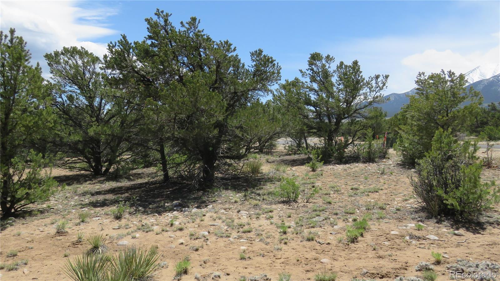 29266 Timber Ridge Buena Vista CO 81211