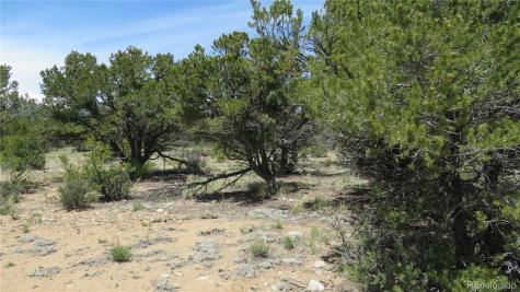 29266 Timber Ridge Buena Vista CO 81211