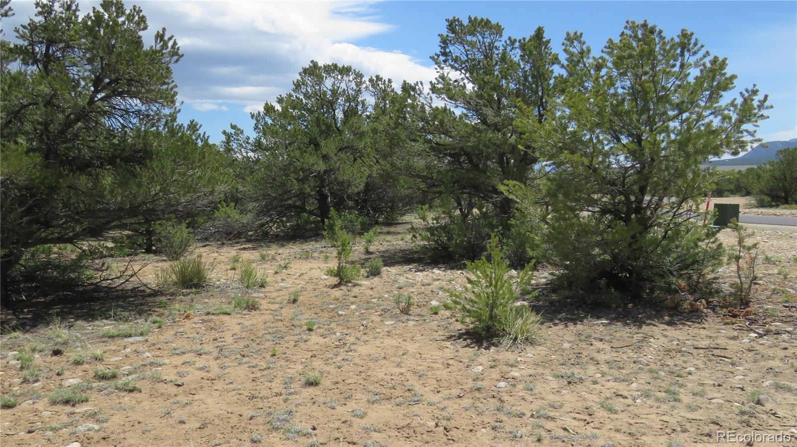 29266 Timber Ridge Buena Vista CO 81211