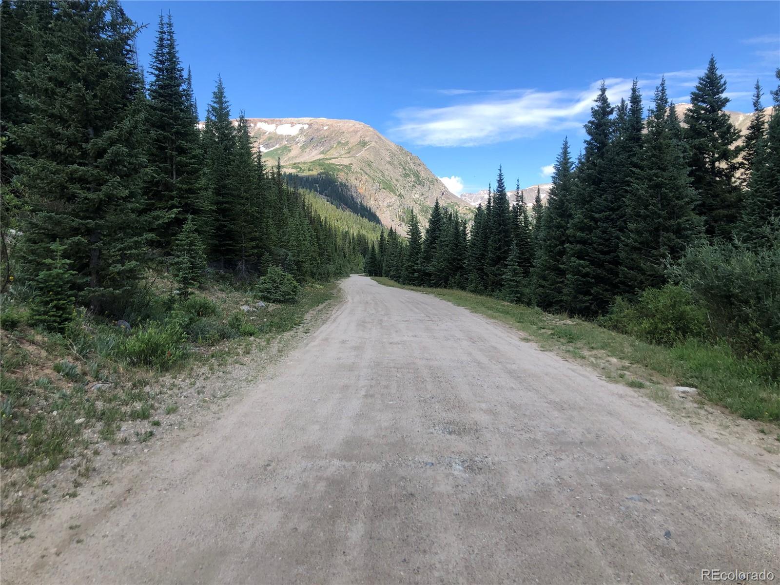 299 Cr 805 Breckenridge CO 80424