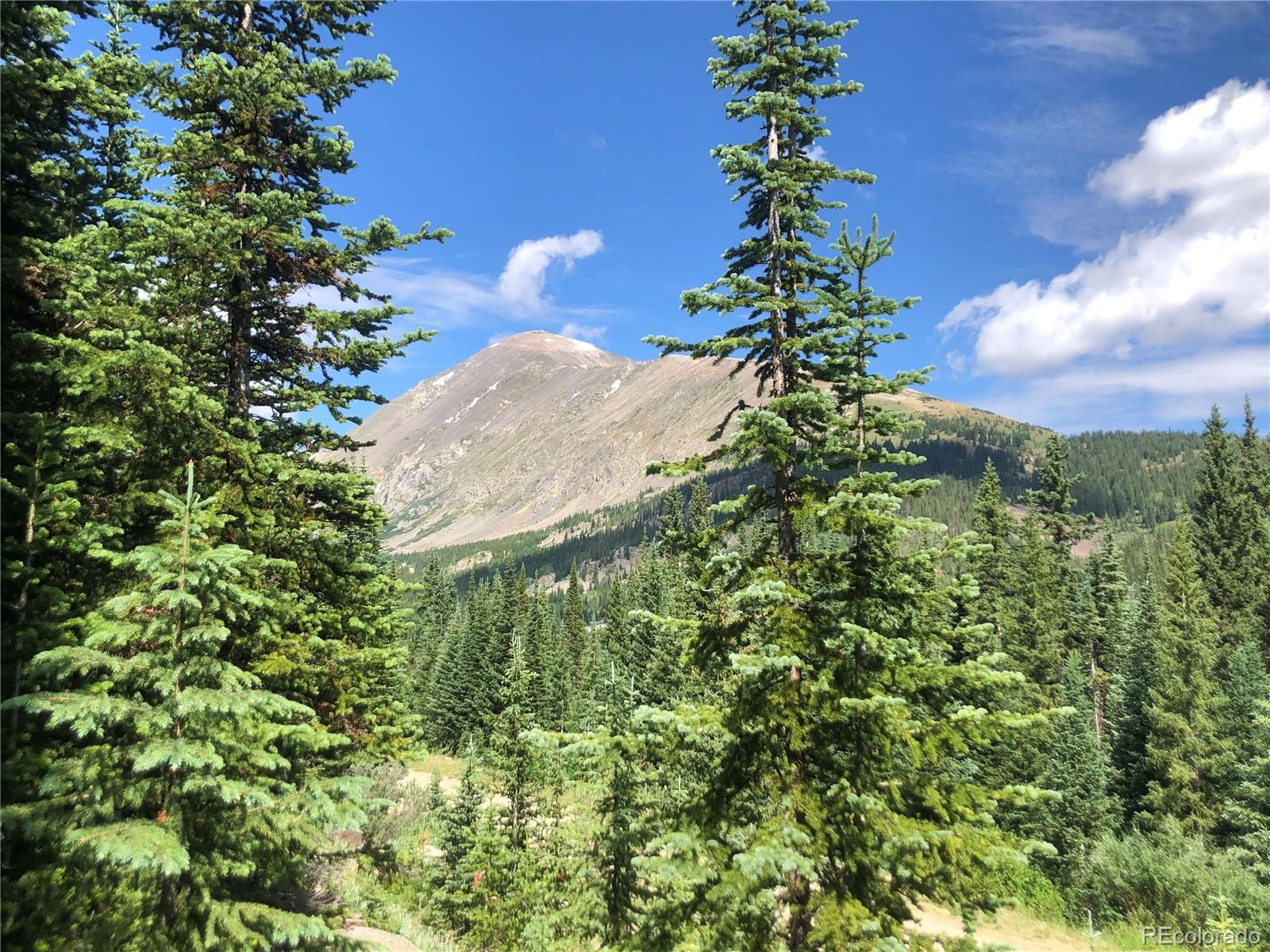 299 Cr 805 Breckenridge CO 80424