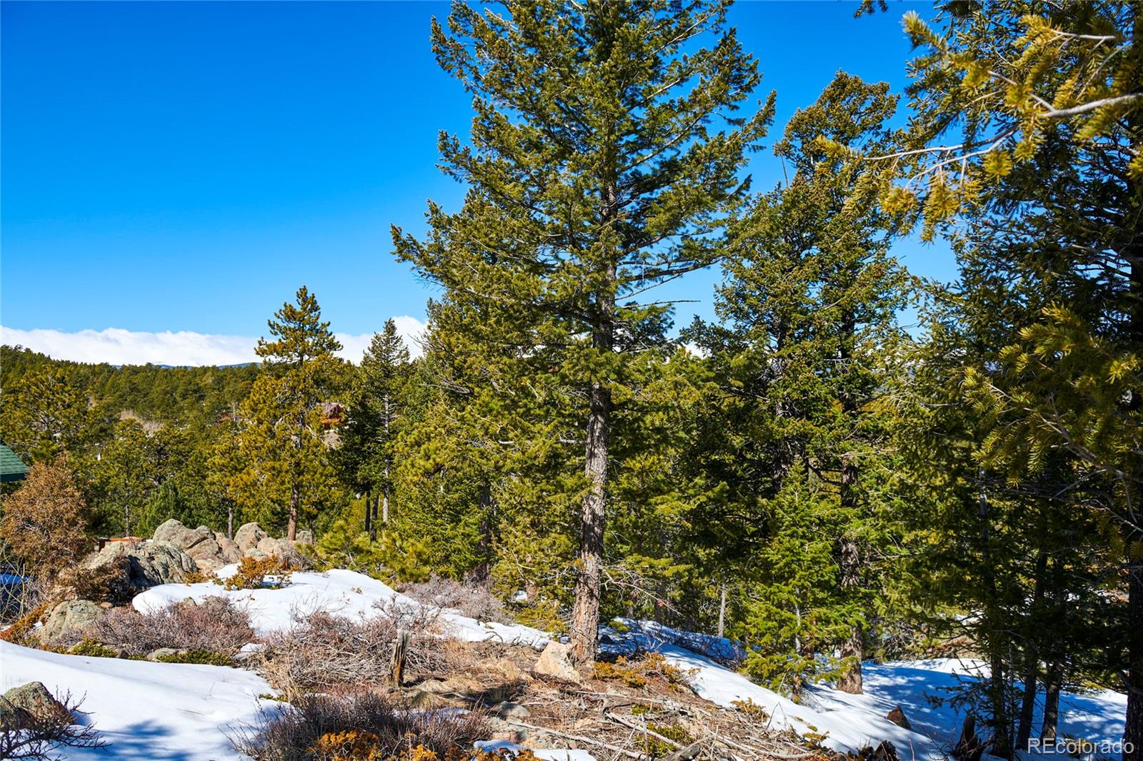 815 Cougar Run Nederland CO 80466