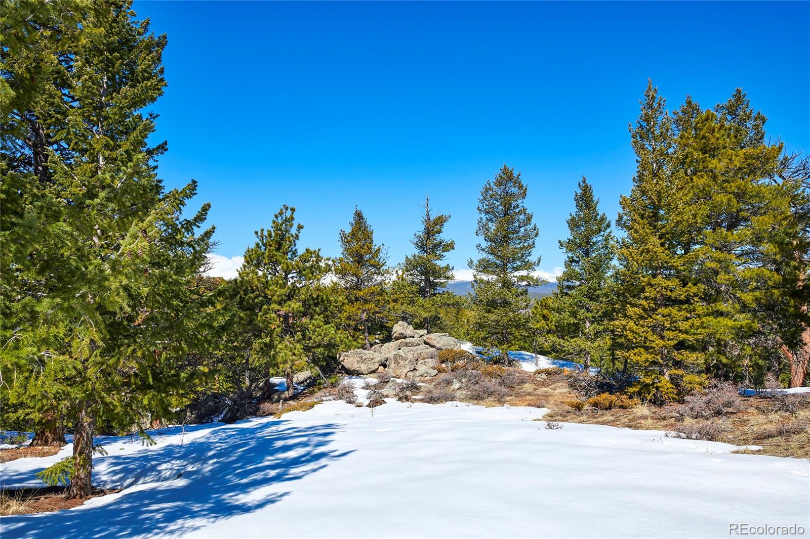 815 Cougar Run Nederland CO 80466