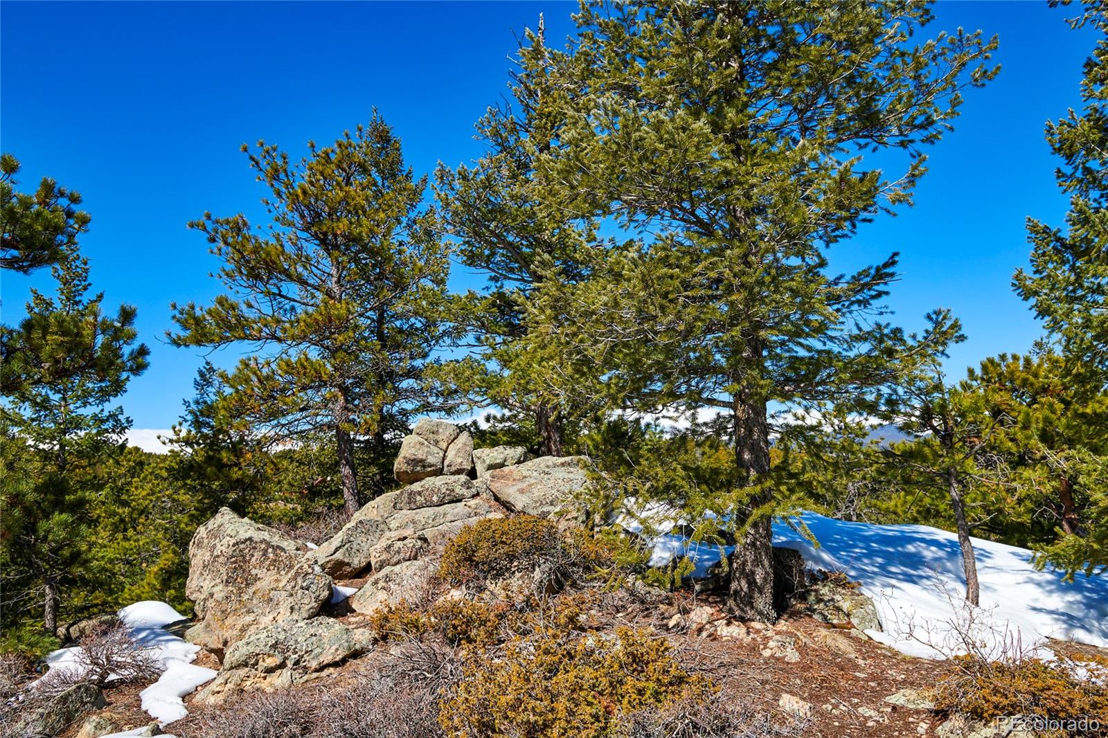 815 Cougar Run Nederland CO 80466